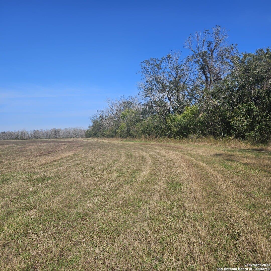 22 acres in Wharton County - photo 6