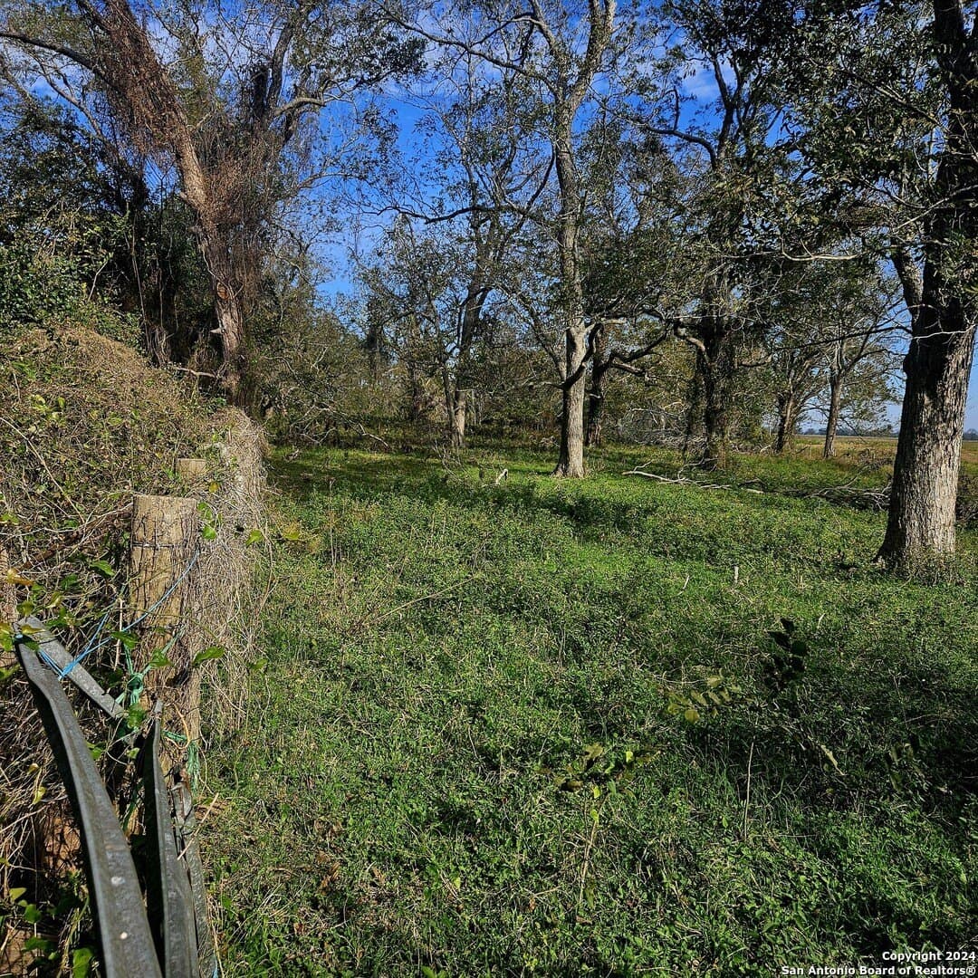 22 acres in Wharton County - photo 12