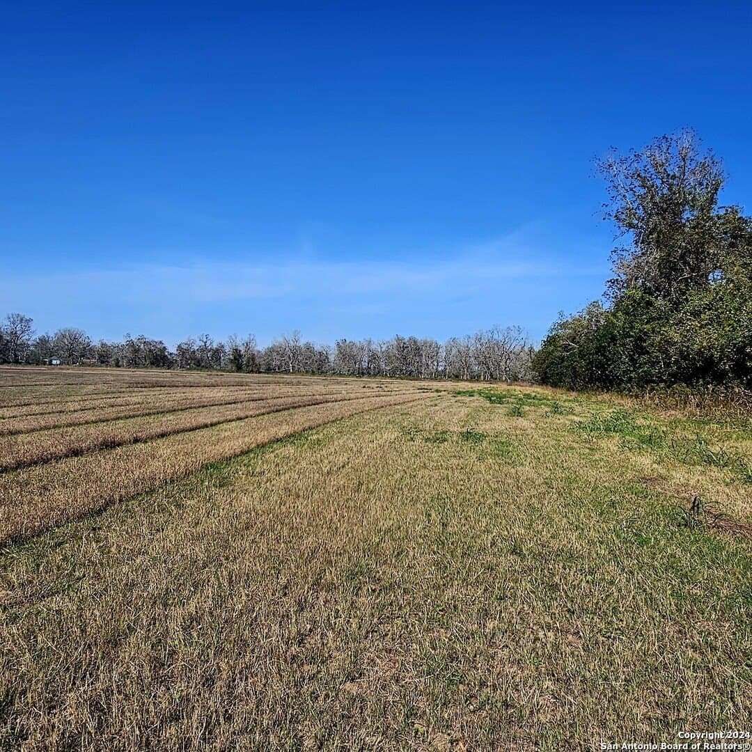 22 acres in Wharton County - photo 4