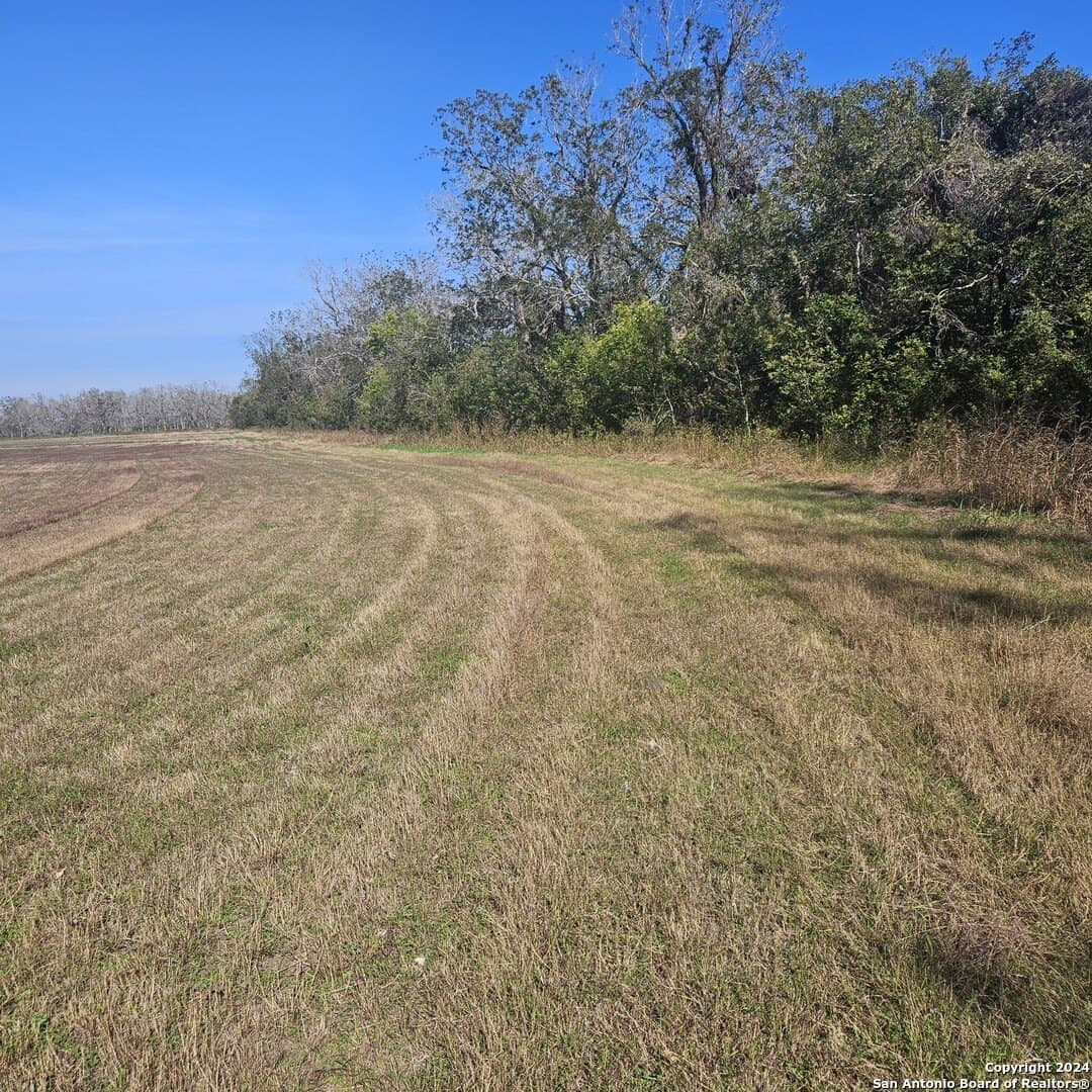 22 acres in Wharton County - photo 5