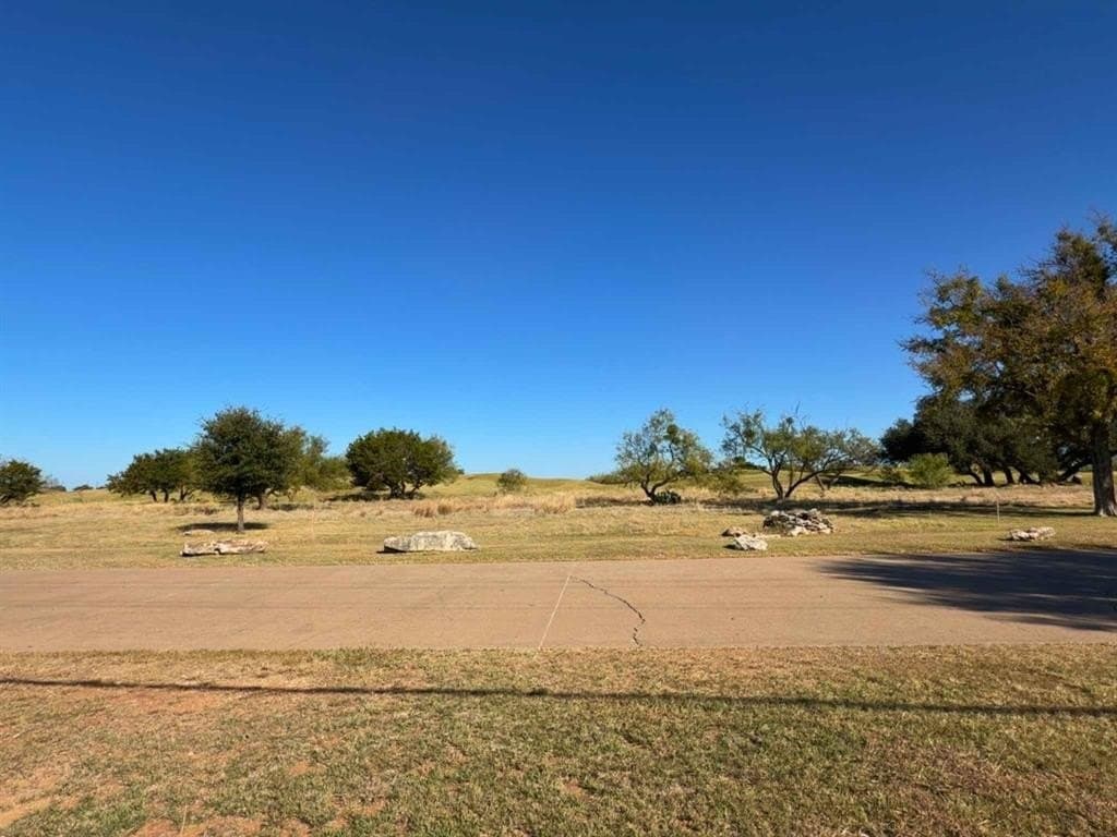 0.22 acres in Palo Pinto County - photo 2