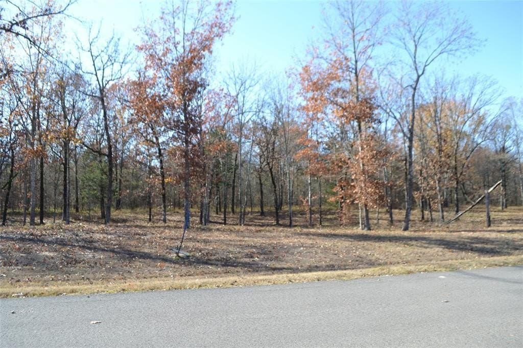 1.44 acres in Wood County - photo 5