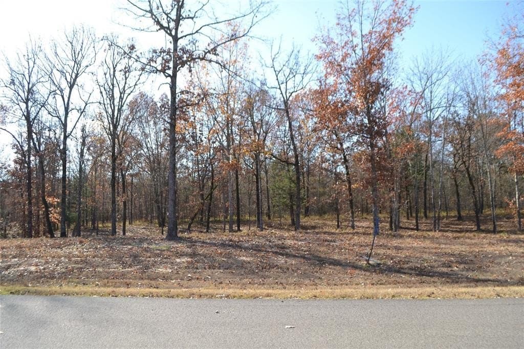 1.44 acres in Wood County - photo 3