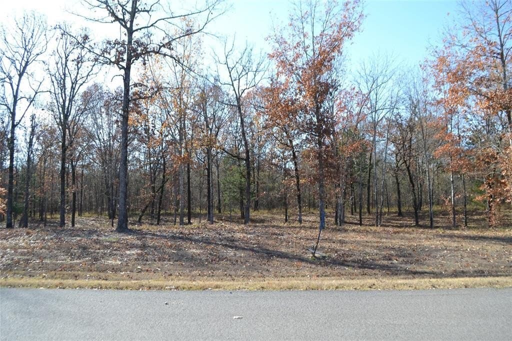 1.44 acres in Wood County - photo 4