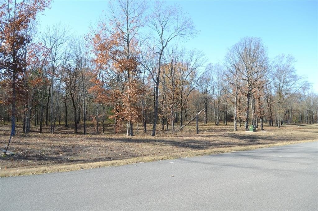 1.44 acres in Wood County - photo 6