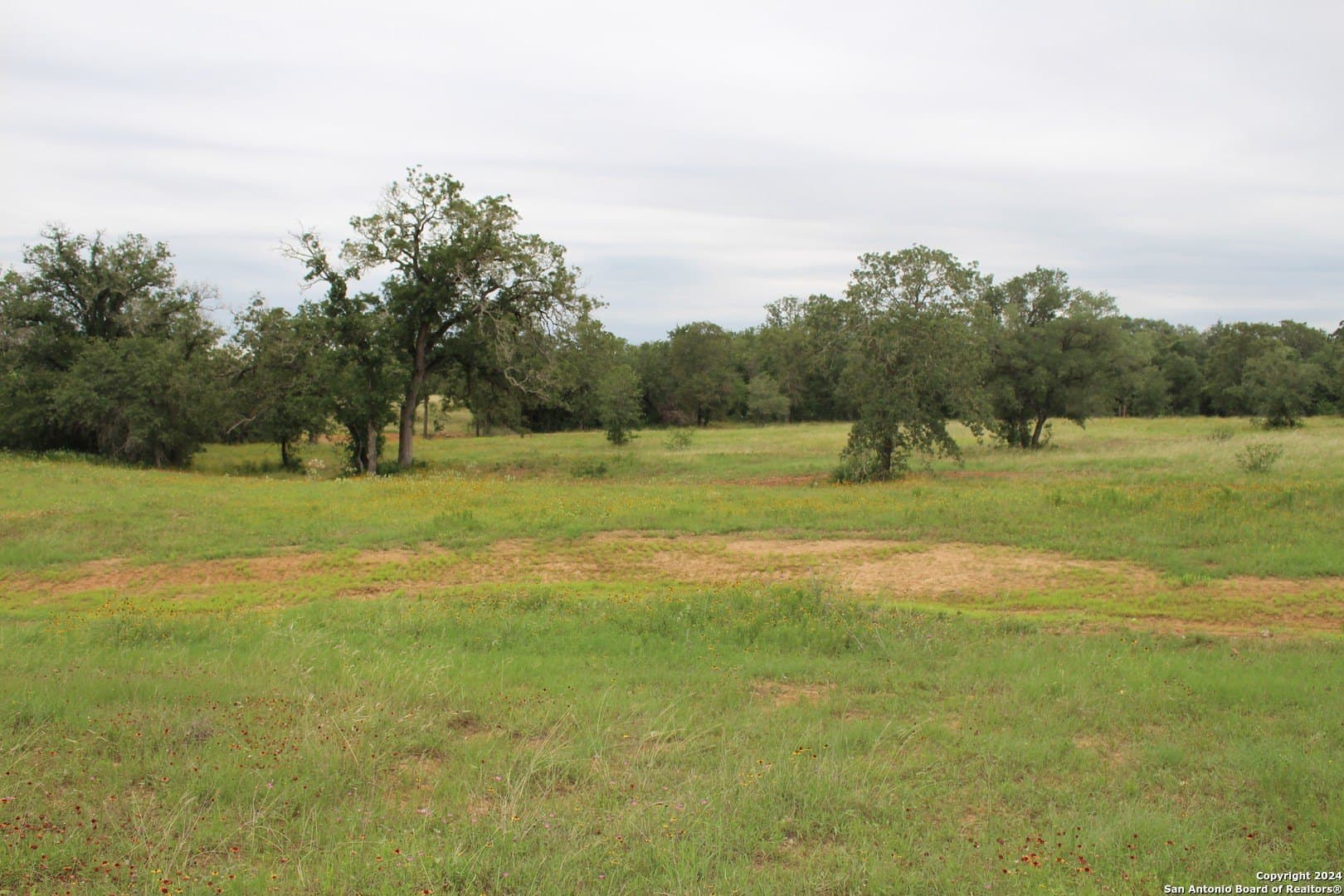 47 acres in Guadalupe County - photo 11