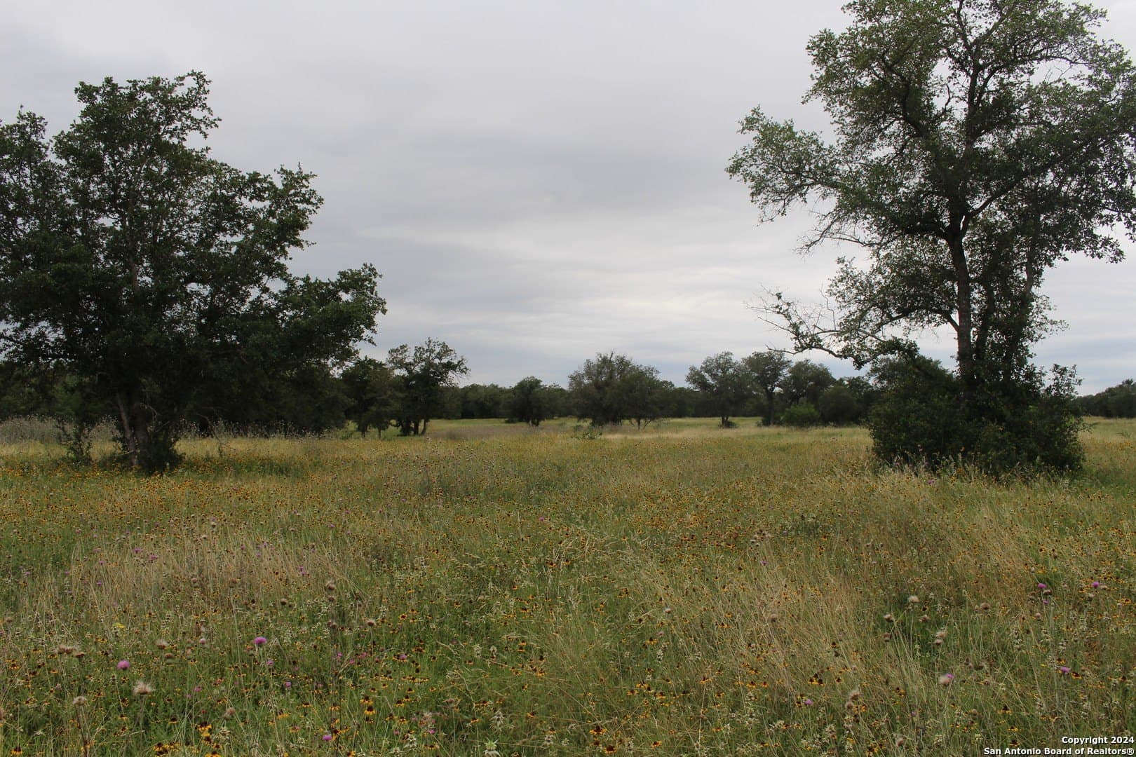 47 acres in Guadalupe County - photo 9