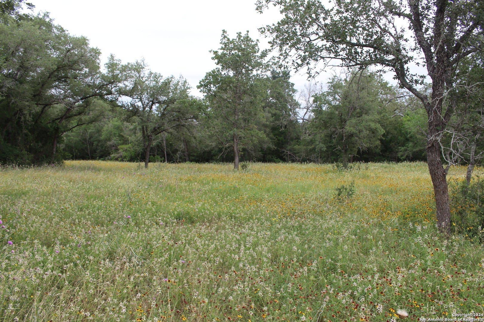 47 acres in Guadalupe County - photo 7