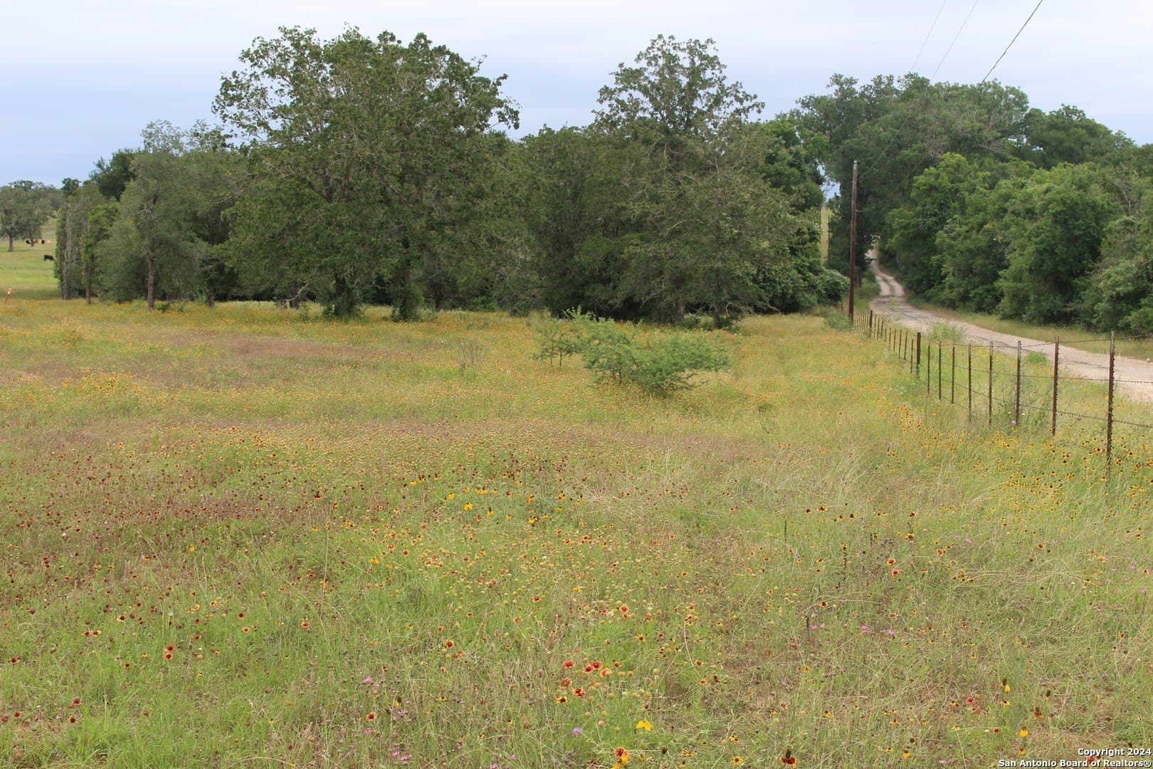 47 acres in Guadalupe County - photo 3