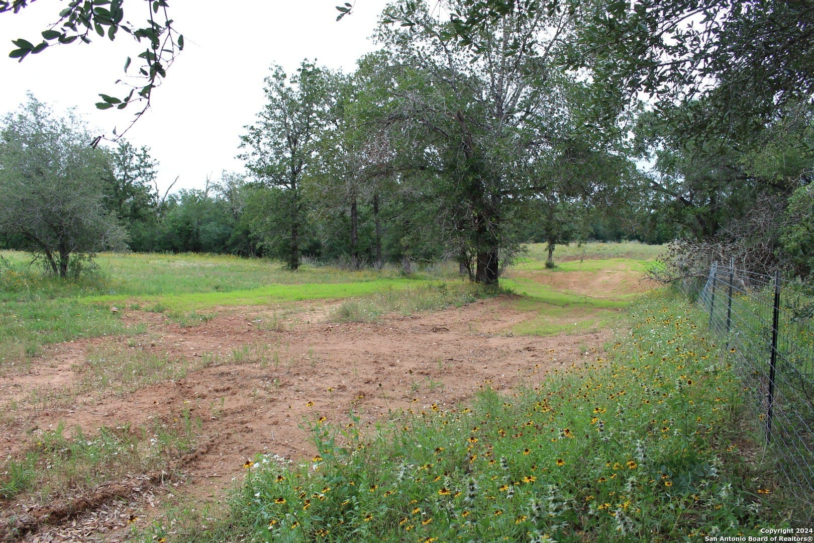 47 acres in Guadalupe County - photo 16