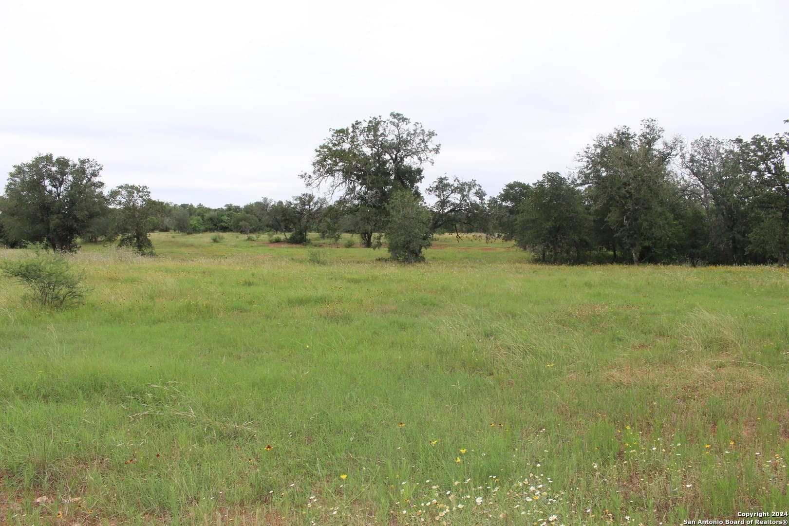 47 acres in Guadalupe County - photo 17