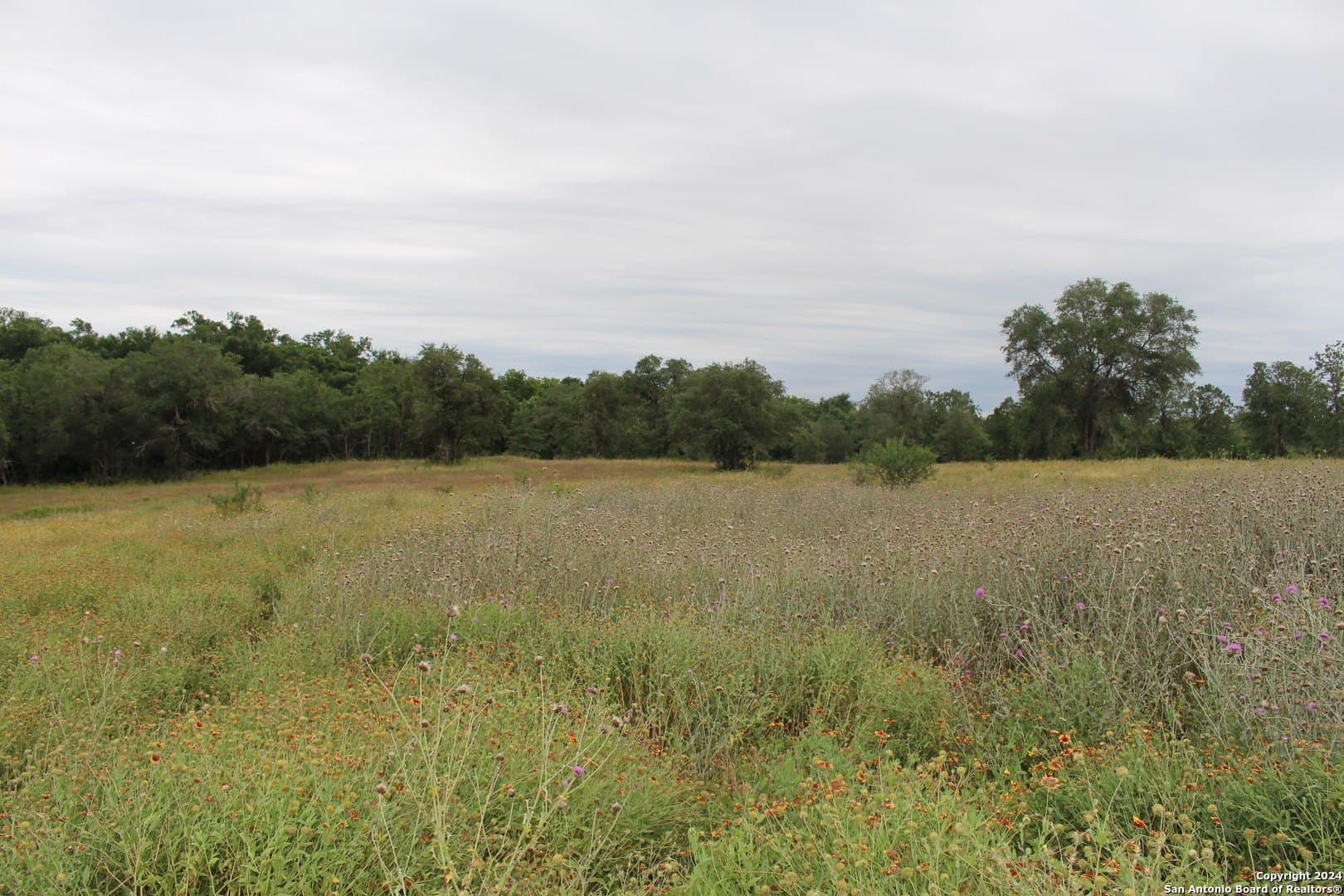 47 acres in Guadalupe County - photo 5
