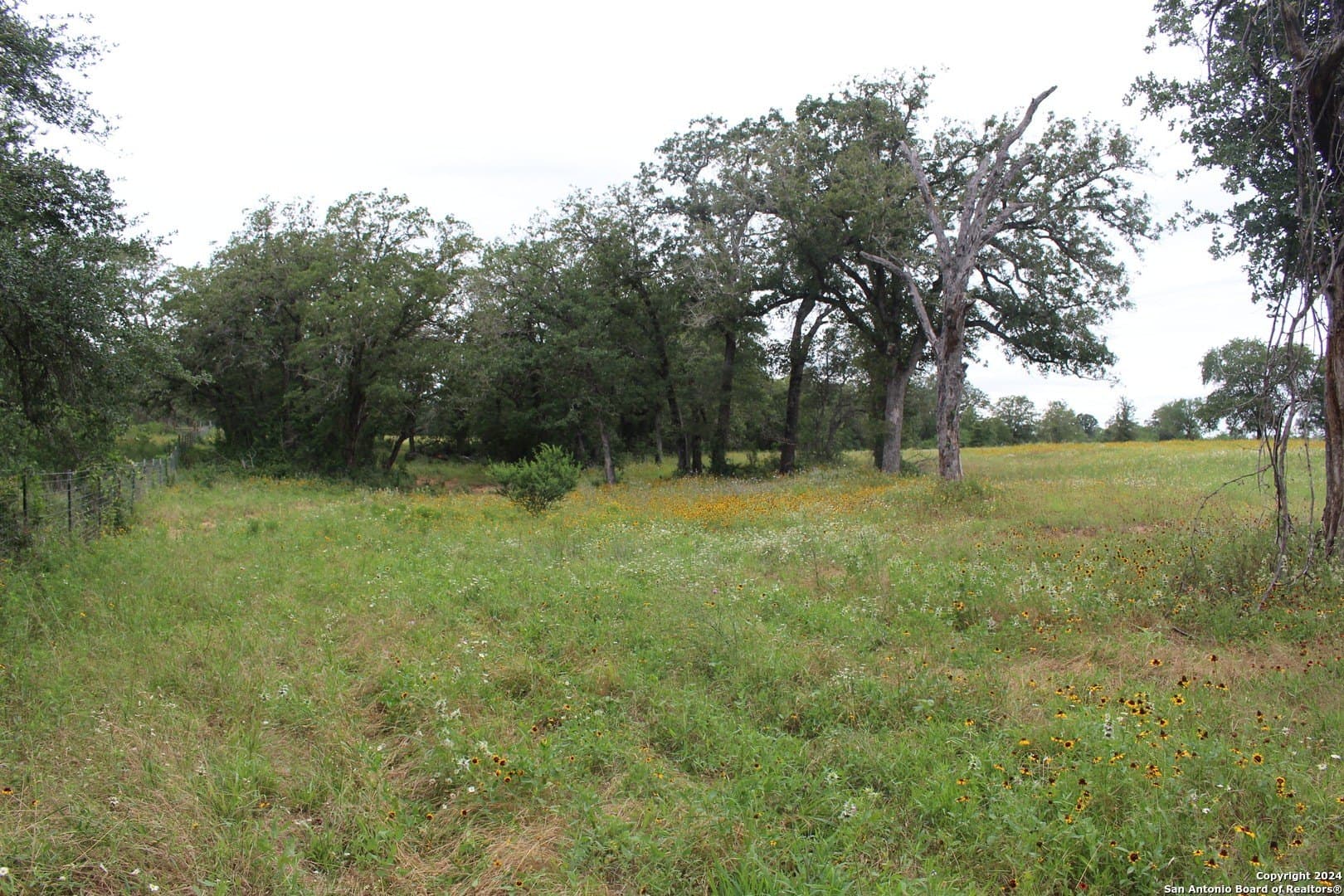 47 acres in Guadalupe County - photo 15