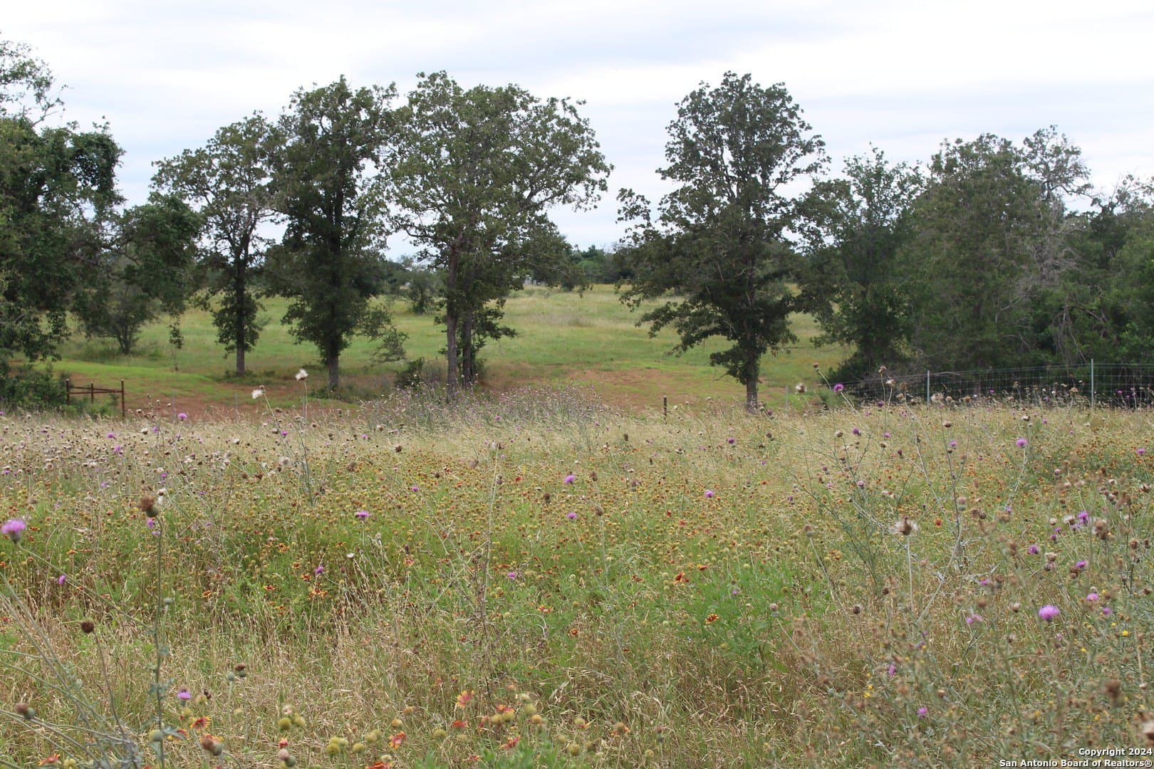 47 acres in Guadalupe County - photo 4