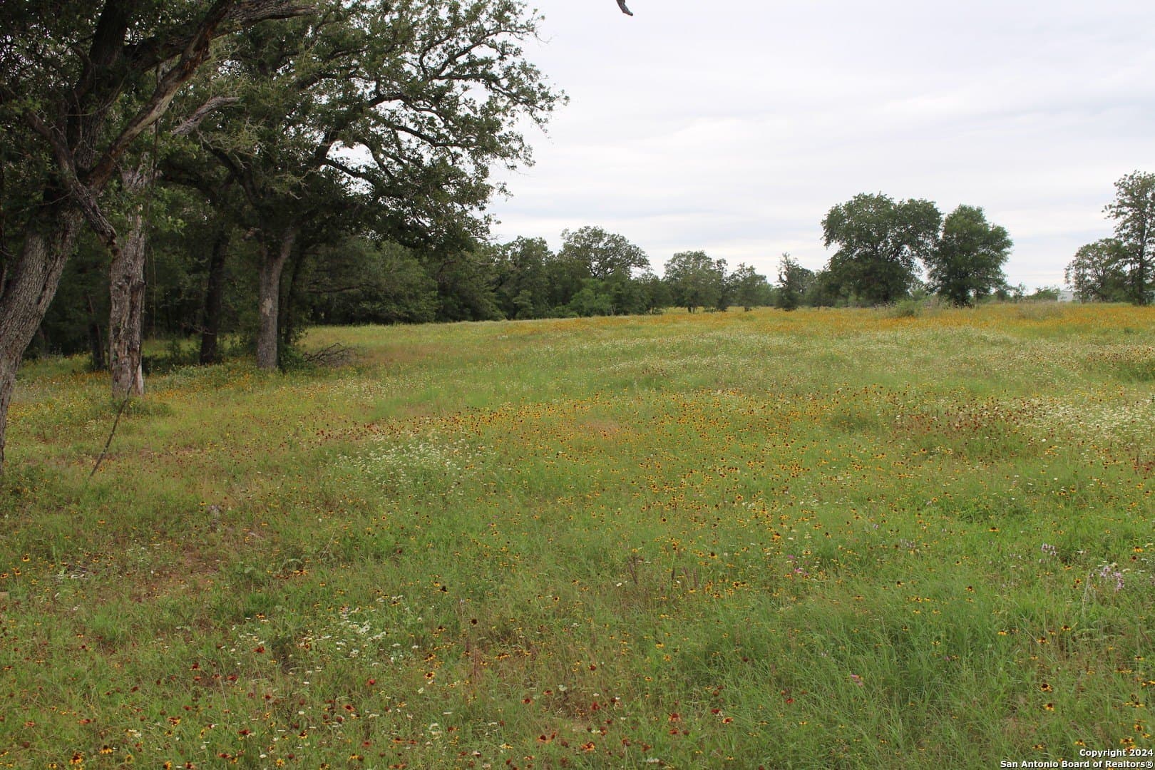 47 acres in Guadalupe County - photo 14