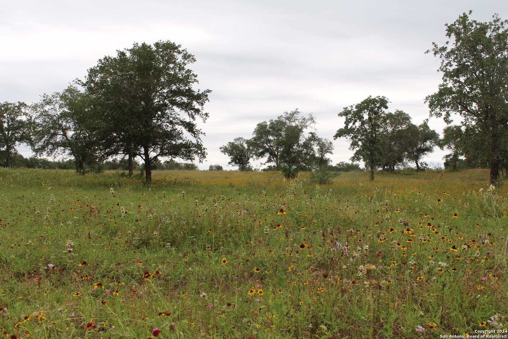 47 acres in Guadalupe County - photo 2