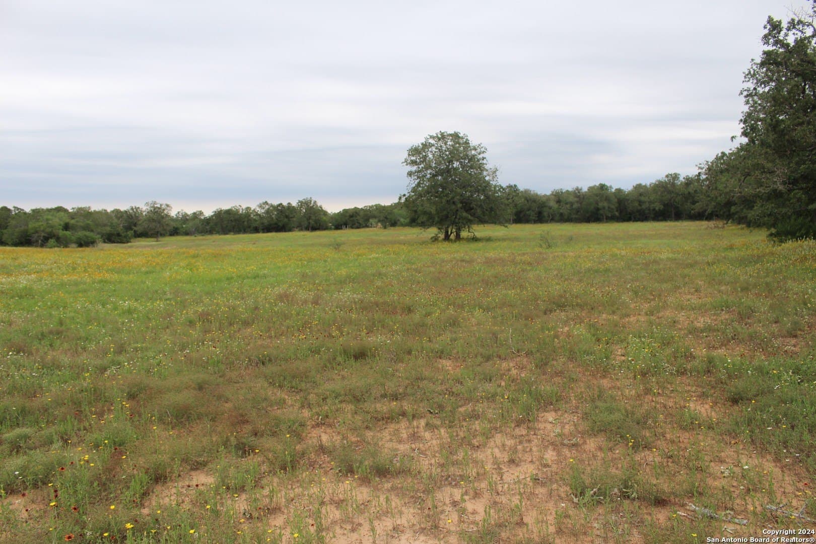 47 acres in Guadalupe County - photo 12