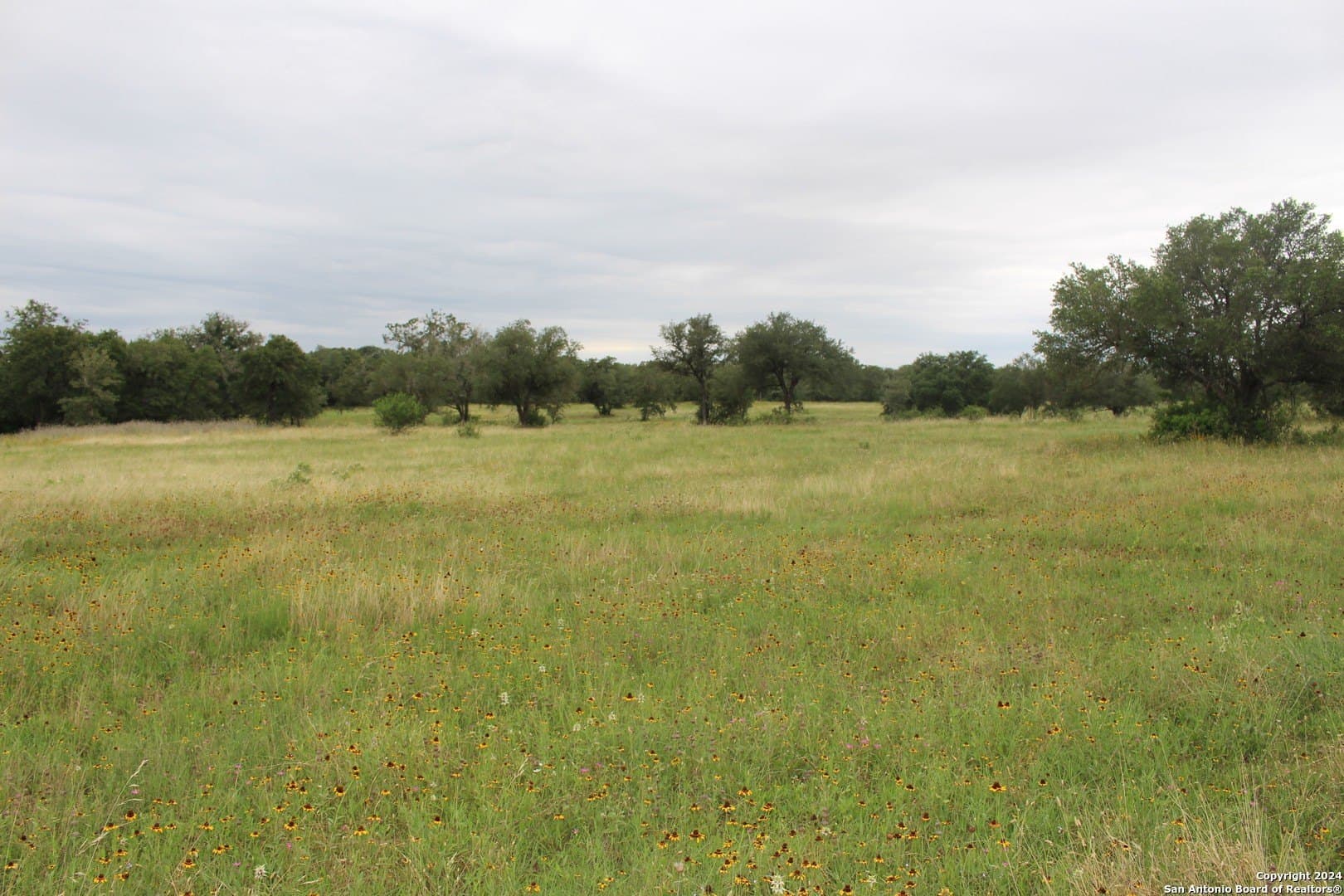 47 acres in Guadalupe County - photo 10