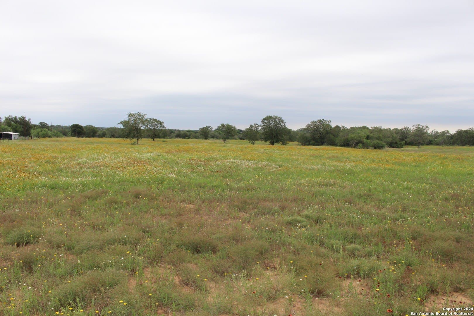 47 acres in Guadalupe County - photo 13