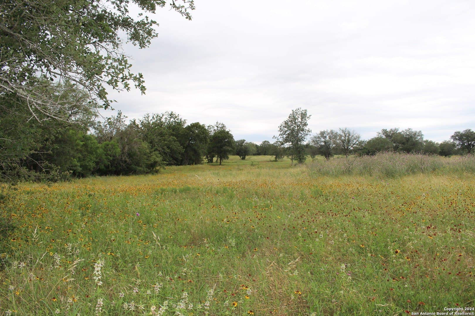 47 acres in Guadalupe County - photo 8