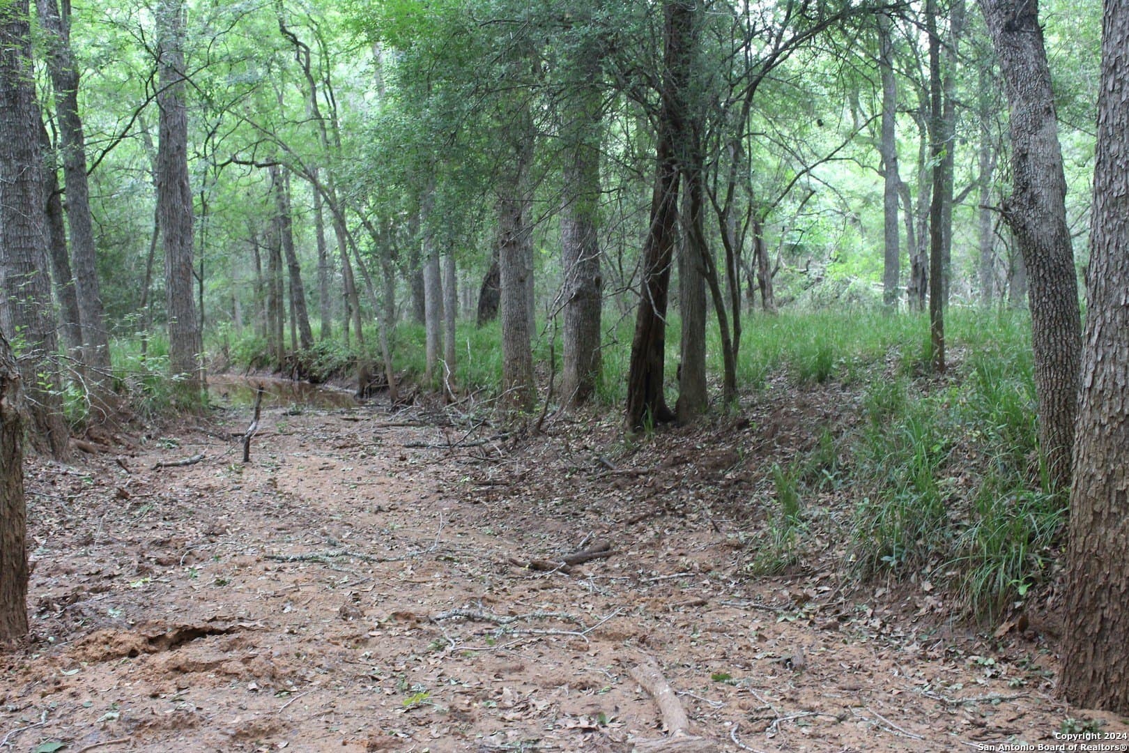 47 acres in Guadalupe County - photo 6