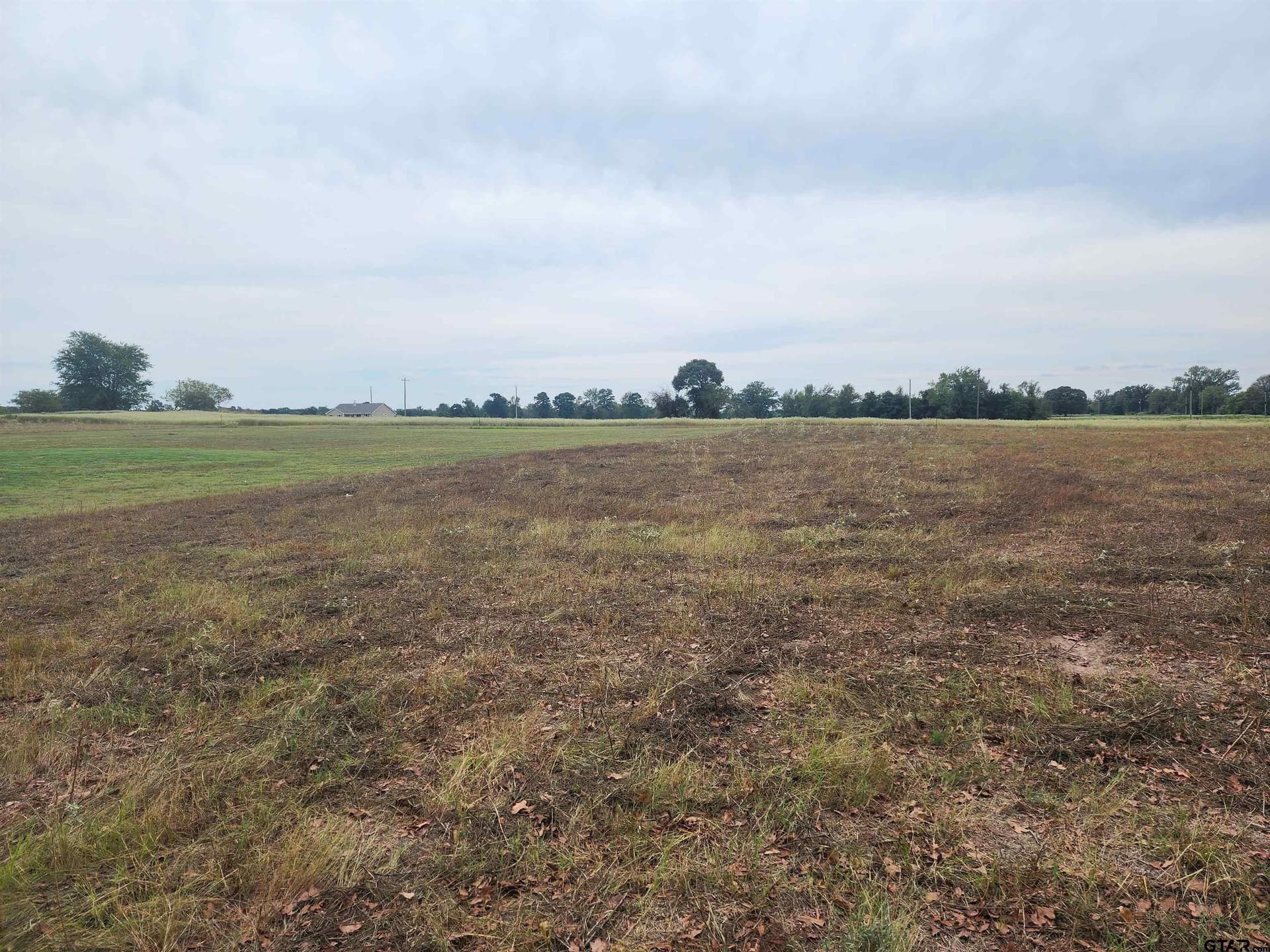 1.65 acres in Camp County - photo 5