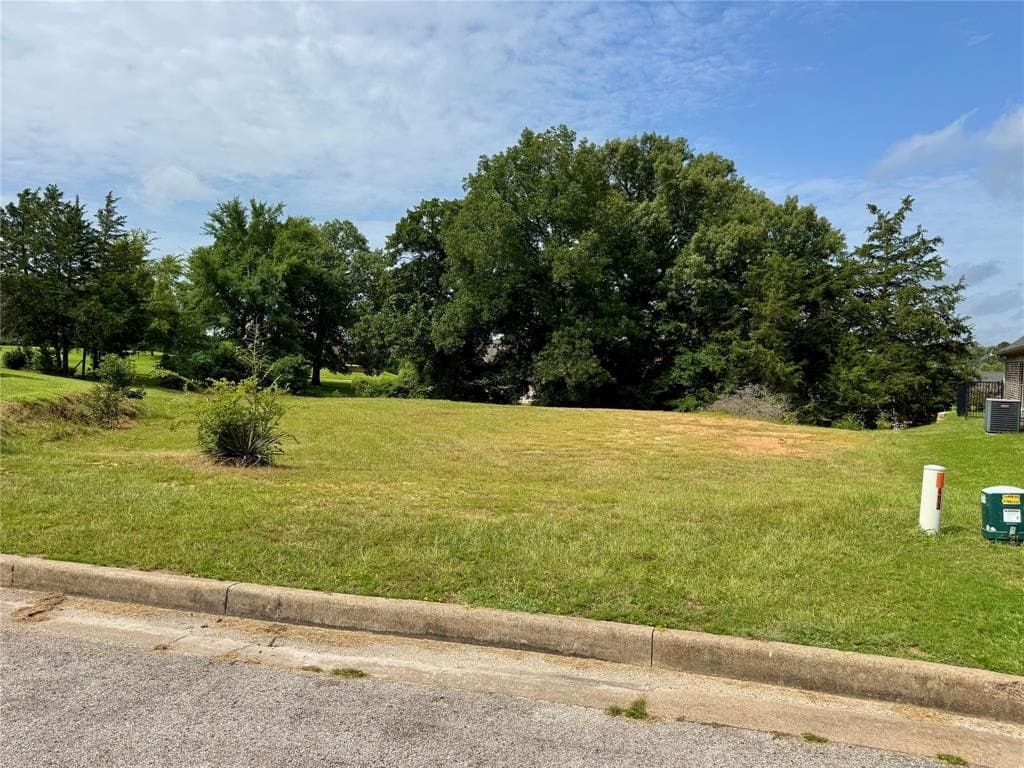 0.41 acres in Smith County - photo 2