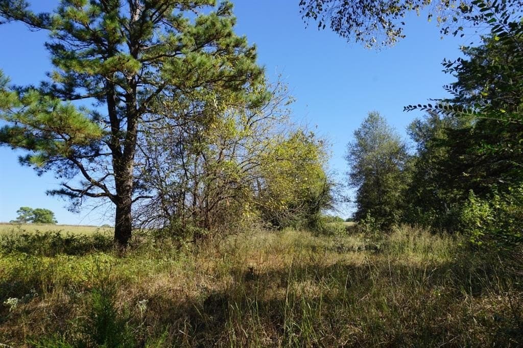 20 acres in Morris County - photo 14
