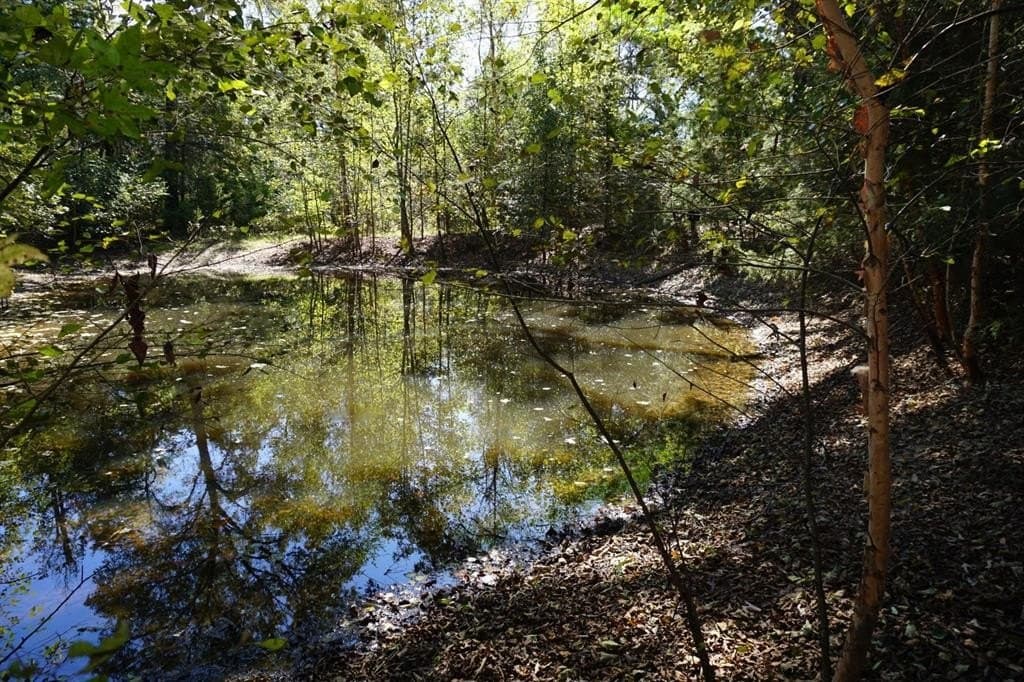 20 acres in Morris County - photo 12