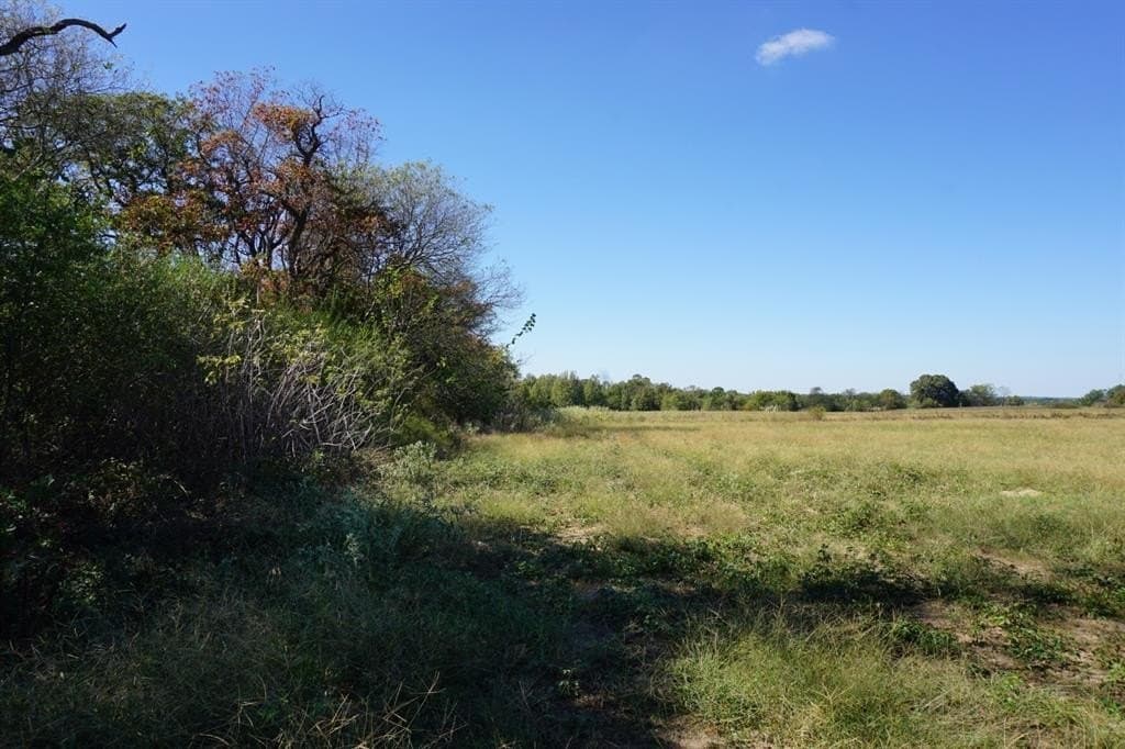 20 acres in Morris County - photo 15