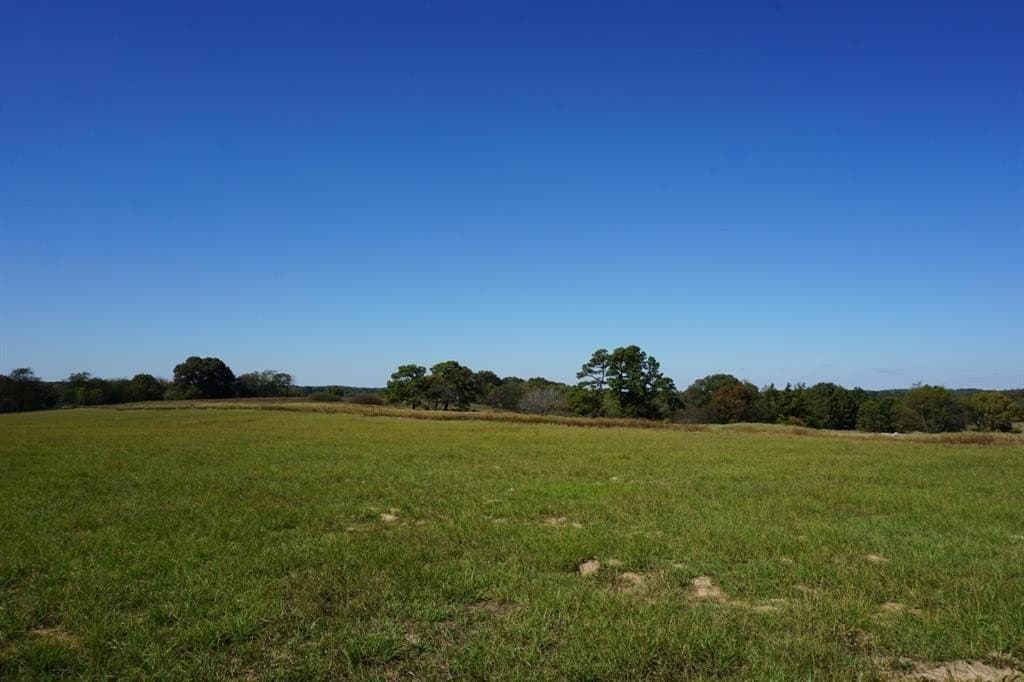 20 acres in Morris County - photo 21