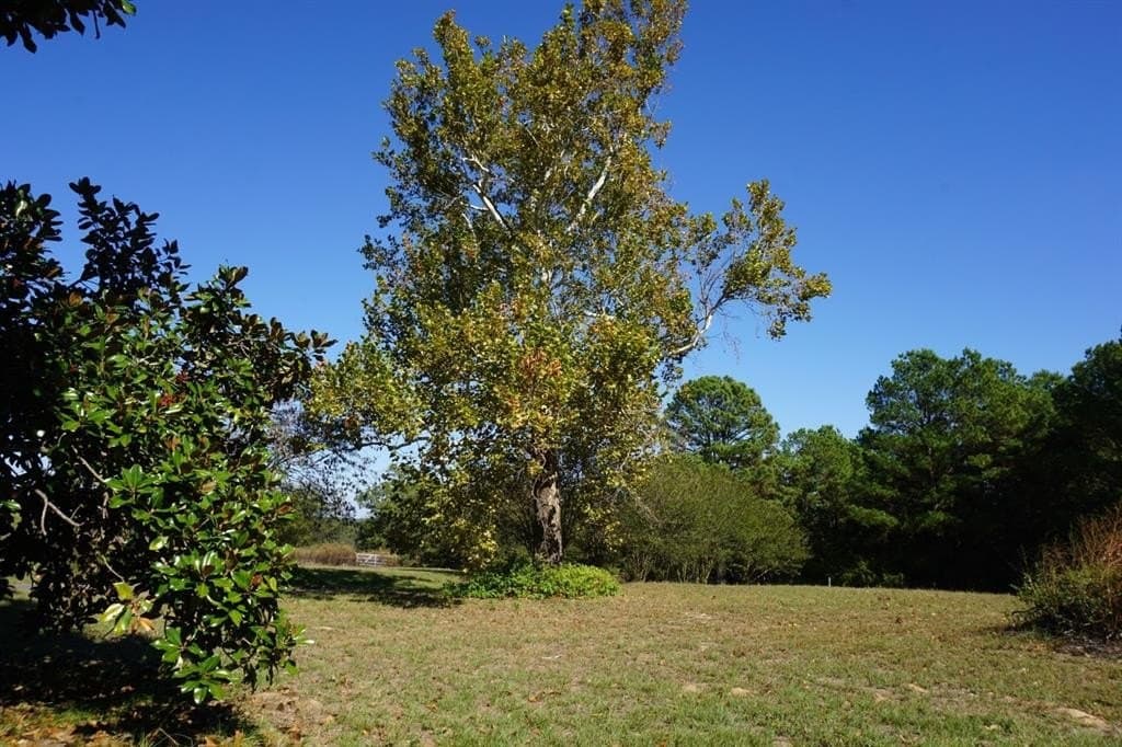 20 acres in Morris County - photo 7