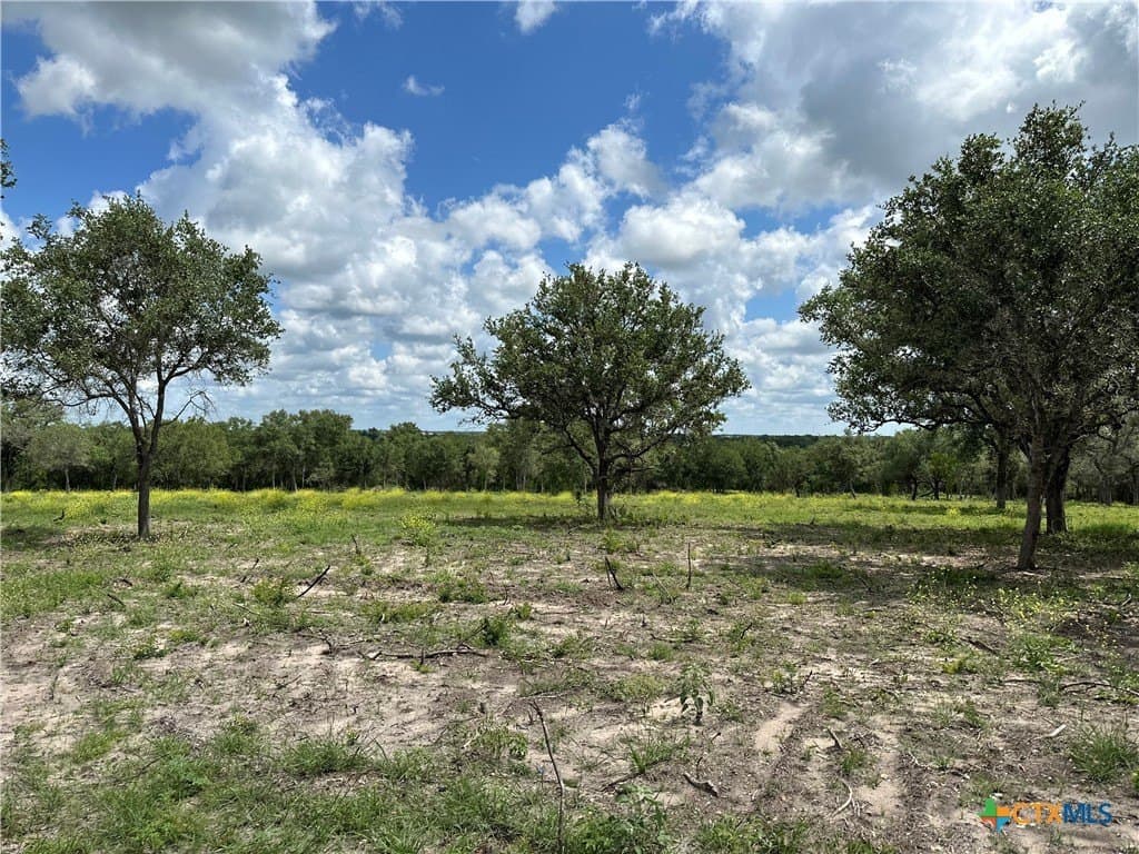 14 acres in Goliad County - photo 9