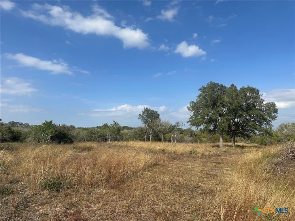 14 acres in Goliad County - photo 8