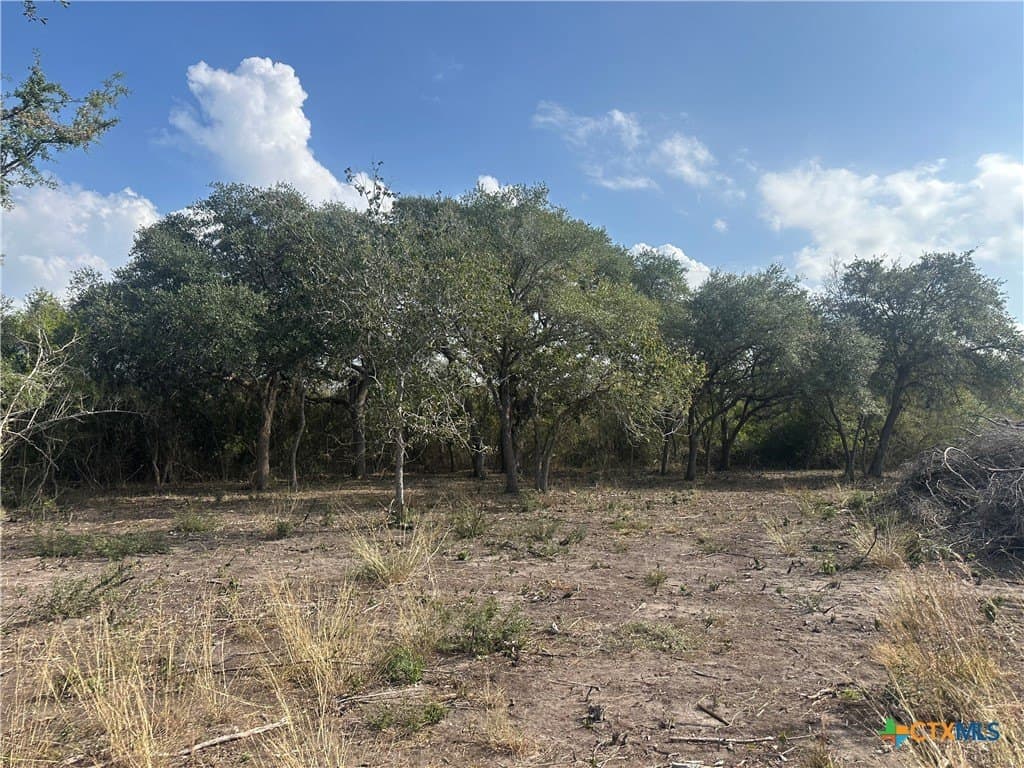 14 acres in Goliad County - photo 7