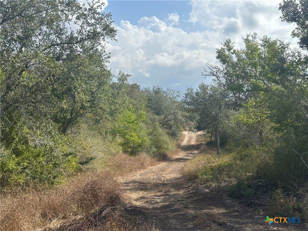 14 acres in Goliad County - photo 10