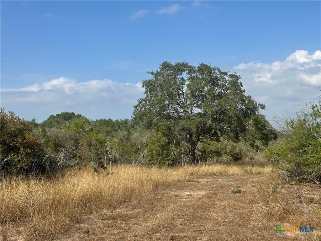 14 acres in Goliad County - photo 2