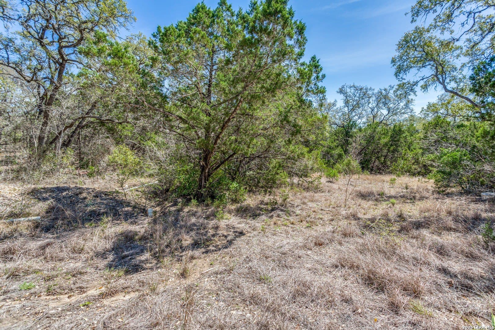 15.17 acres in Bexar County - photo 7