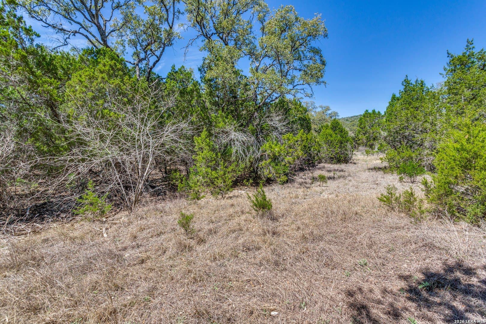 15.17 acres in Bexar County - photo 6