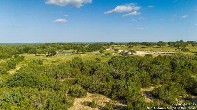 11.5 acres in Blanco County - photo 9