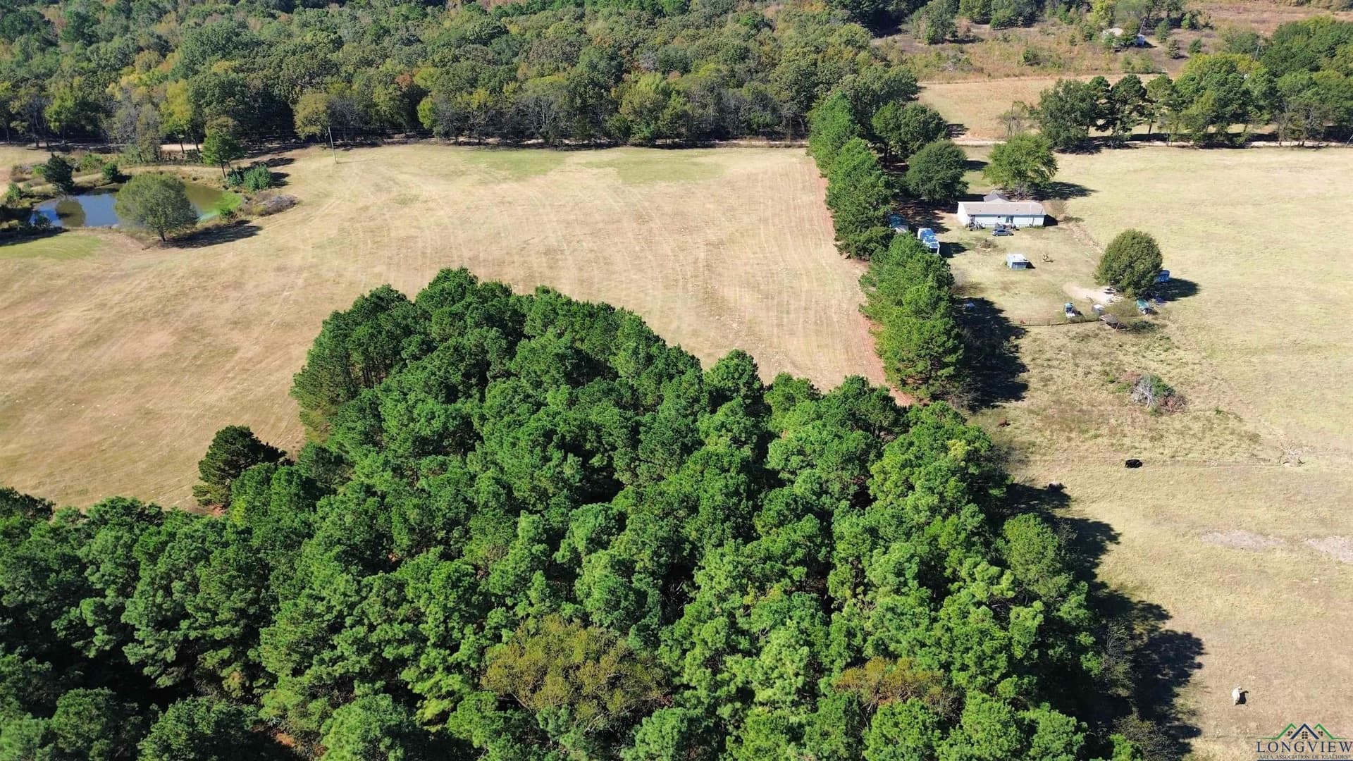 4.3 acres in Titus County - photo 2