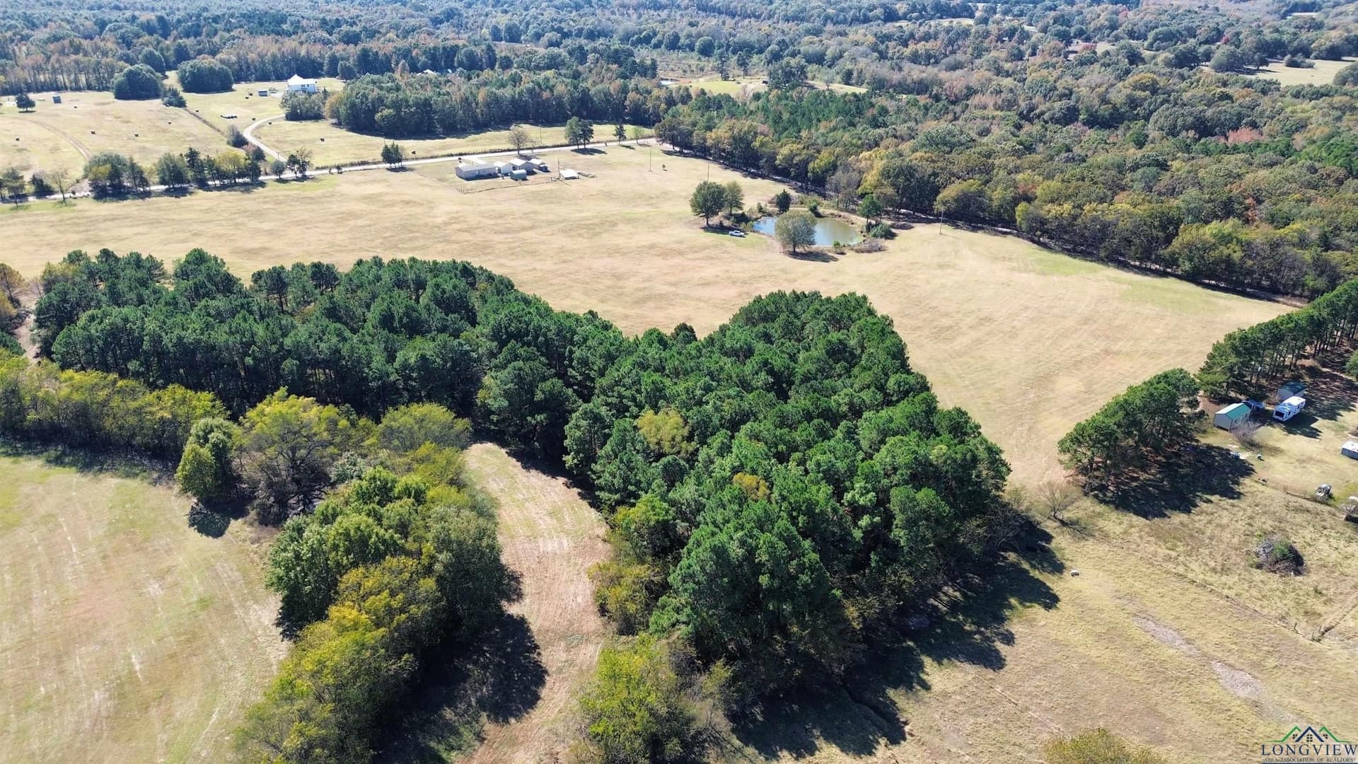 4.3 acres in Titus County - photo 3