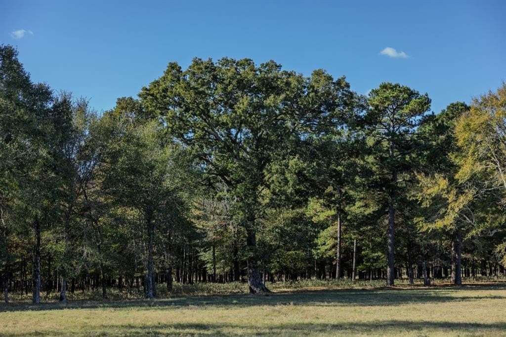 417.32 acres in Harrison County - photo 40