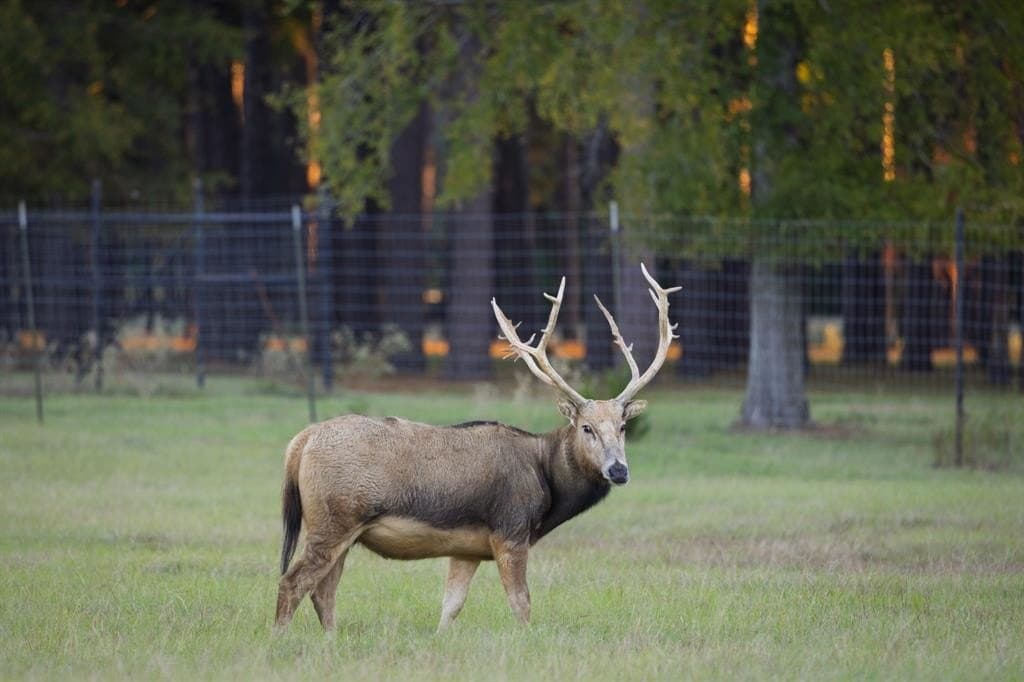417.32 acres in Harrison County - photo 24