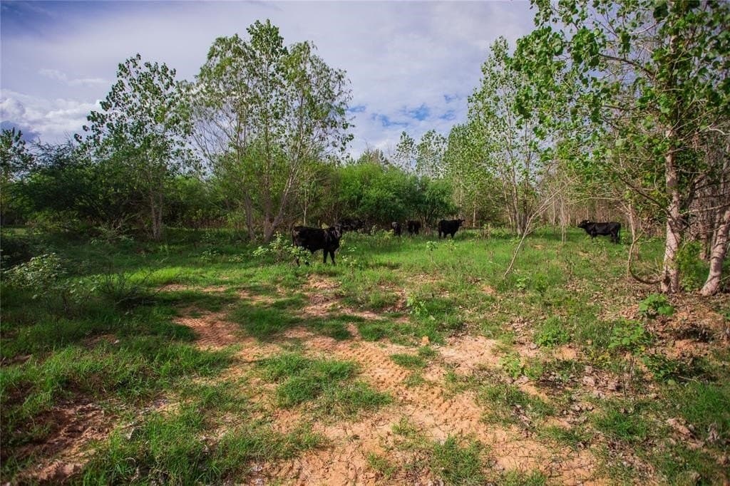 531.43 acres in Washington County - photo 26
