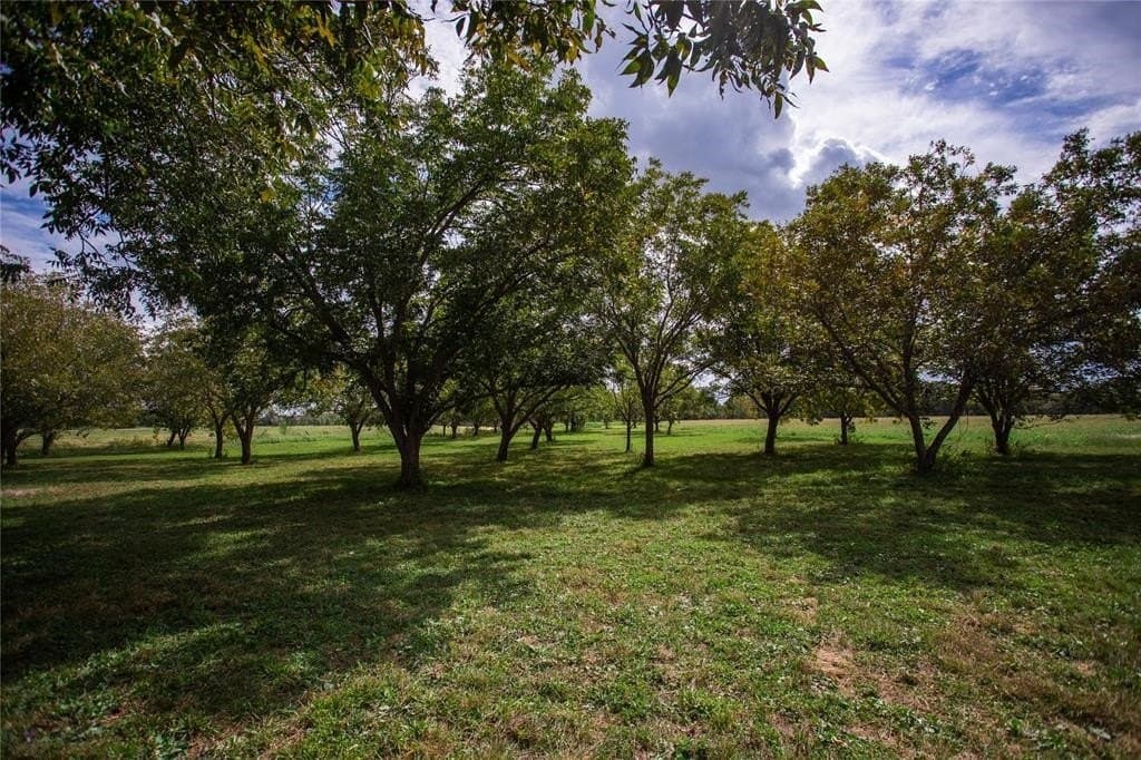 531.43 acres in Washington County - photo 19