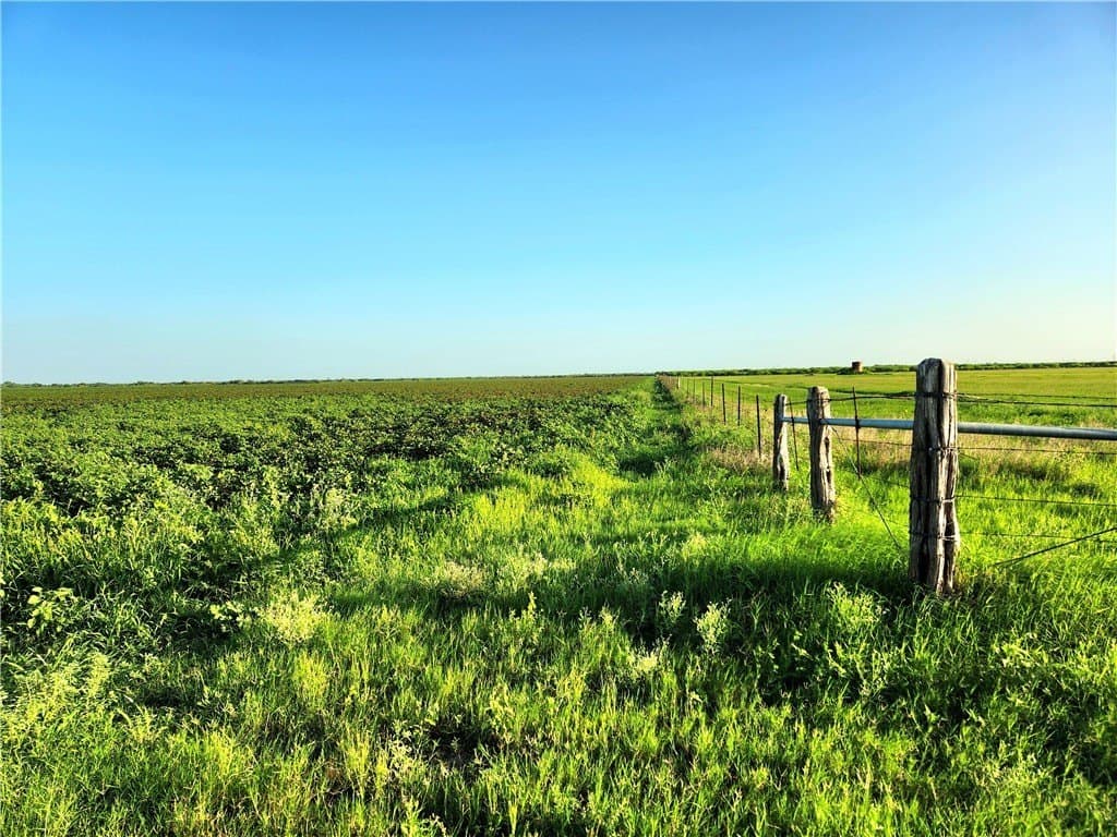 147.58 acres in Nueces County - photo 5