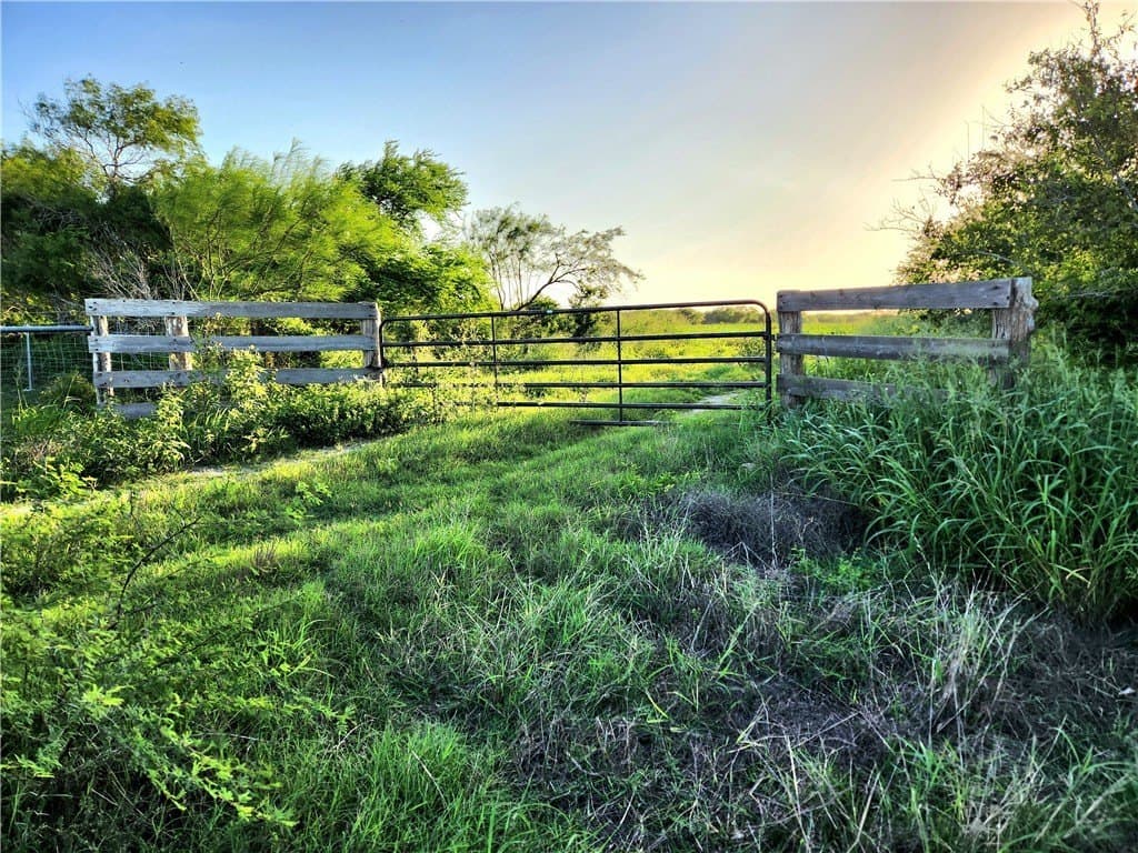 147.58 acres in Nueces County - photo 3
