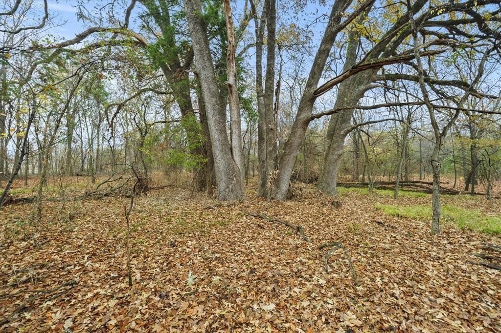 17.53 acres in Rains County - photo 16
