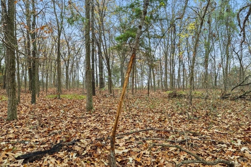 17.53 acres in Rains County - photo 19